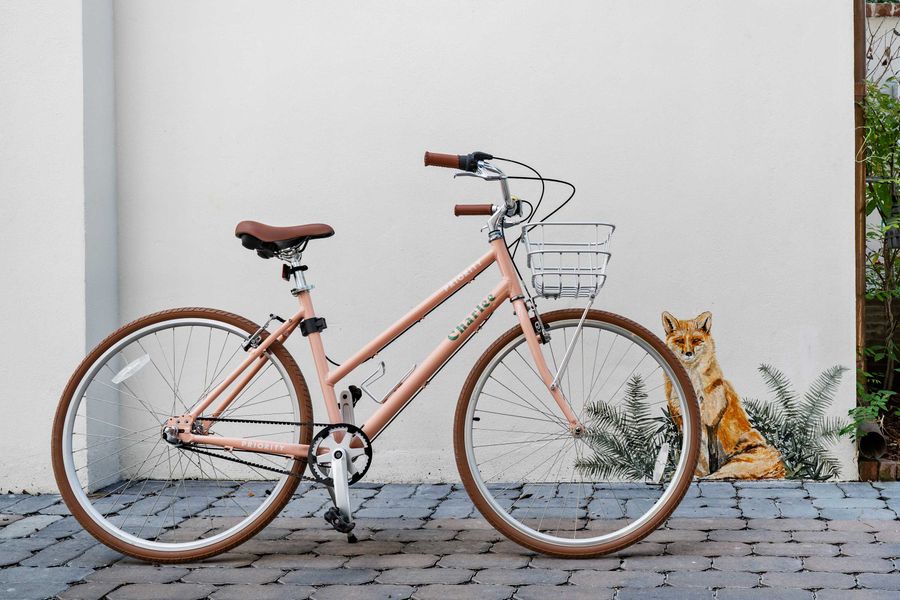 There are communal bikes on site for your group to use :) 