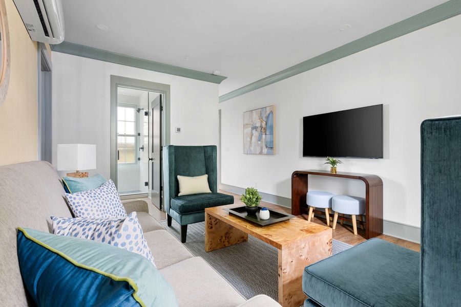 Living room + Pullout couch + TV
