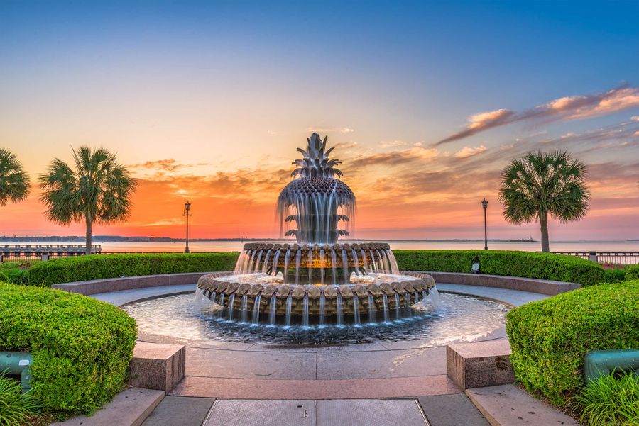 Experience Charleston Charm