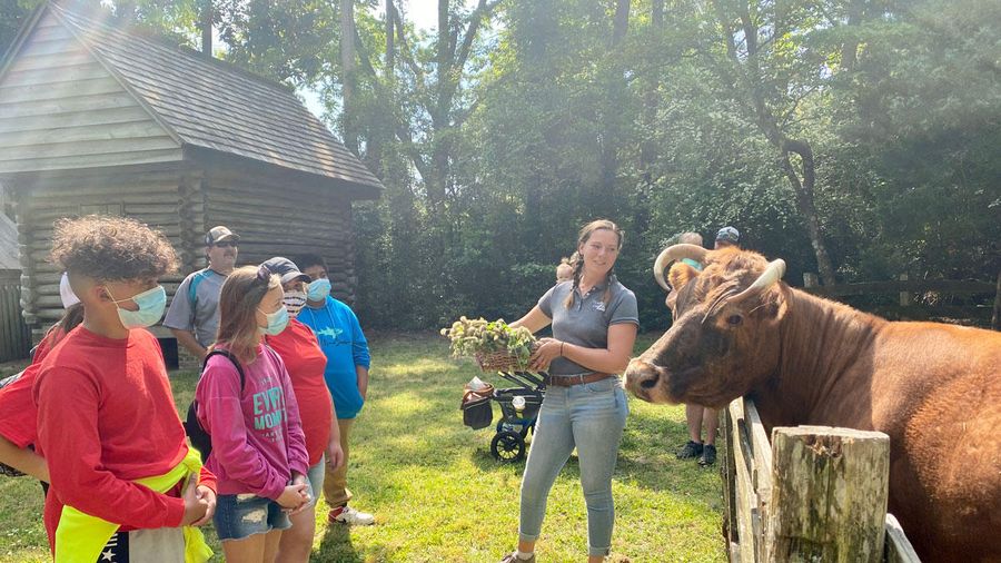 Island Farm Image