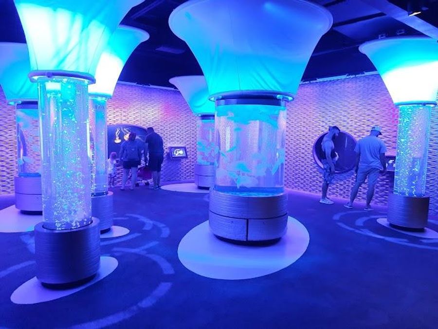 North Carolina Aquarium on Roanoke Island Image