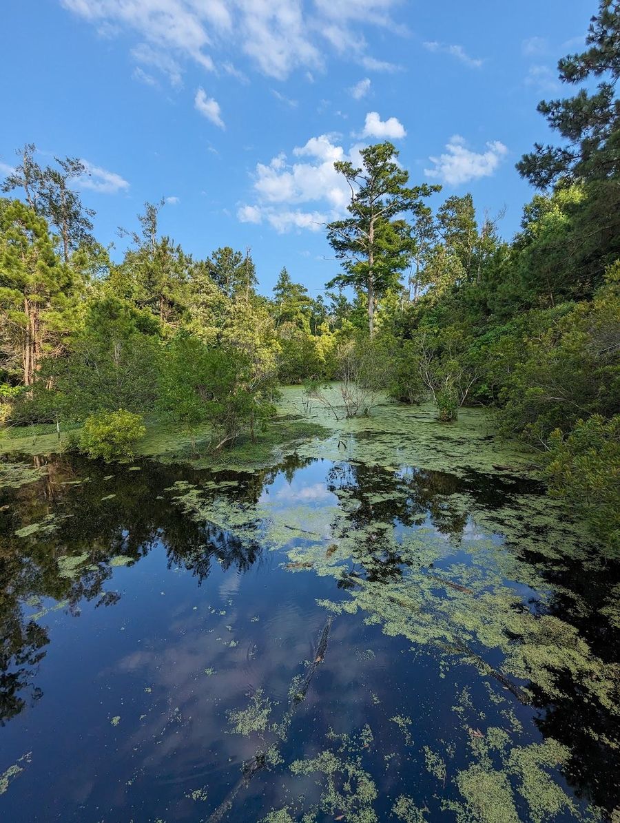 Kitty Hawk Reserve Image