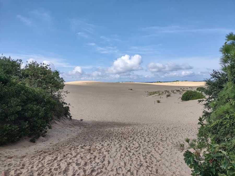 Jockey's Ridge State Park Image