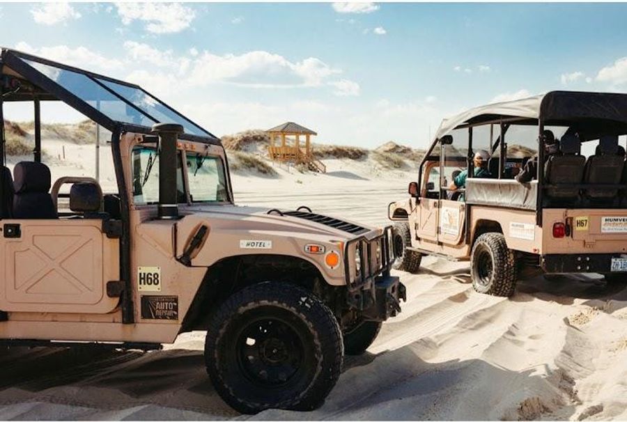 Wild Horse Adventure Tours Image