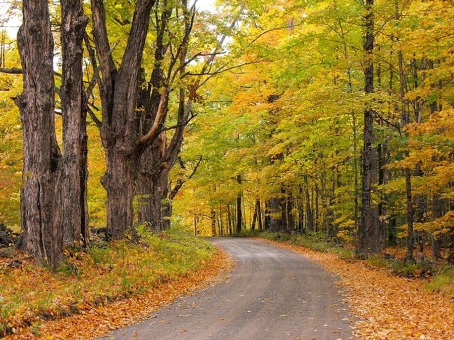 Brevard NC in Fall